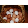Продам яйца куриные домашние - доставка по Донецку