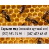 Купим пчелиный мед (куплю мед)  крупным и мелким оптом в Луганске