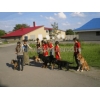 Профессиональная дрессировка собак в Донецке и области