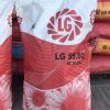Семена подсолнечника Limagrain LG 5580