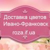 Доставка цветов Ивано-Франковск