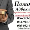 Адвокат по международному и национальному праву.  Юридическая помощь в Запорожье