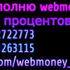 Пополнить, обналичить вебмани в Донецке ДНР
