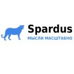 Spardus Team - Комплексные решения по Web-аналитике и SEO-оптимизации